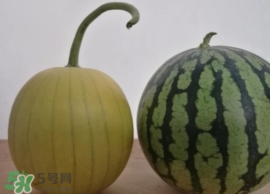 四色瓤西瓜是轉(zhuǎn)基因嗎？四色瓤西瓜是不是轉(zhuǎn)基因？