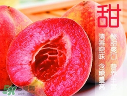 血桃幾月成熟？血桃有什么營養價值