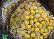花姑娘水果怎么吃？花姑娘水果吃之前要洗嗎？