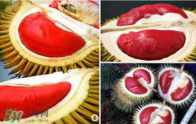 紅心榴蓮叫什么？紅心榴蓮是哪個國家產的？