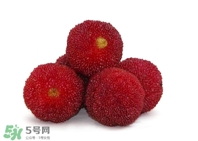 吃完楊梅不能吃什么？吃完楊梅可以吃別的水果嗎？