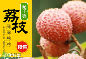 妃子笑荔枝多少錢一斤？2017妃子笑荔枝價格
