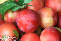 ?楊梅和李子能一起吃嗎？楊梅和李子一起吃會(huì)中毒嗎？