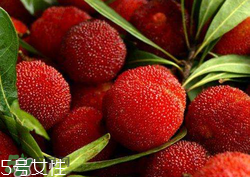 ?楊梅和李子能一起吃嗎？楊梅和李子一起吃會(huì)中毒嗎？