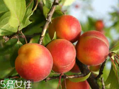 ?楊梅和李子能一起吃嗎？楊梅和李子一起吃會(huì)中毒嗎？