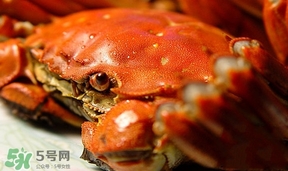 為什么說六月黃有公蟹沒有母蟹？怎樣區分螃蟹的公母