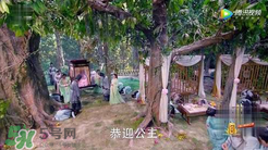 諜紙?zhí)煅酆屯鸂I有什么關系？