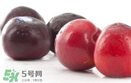 紅布林和黑布林哪個(gè)好？紅布林與黑布林的區(qū)別