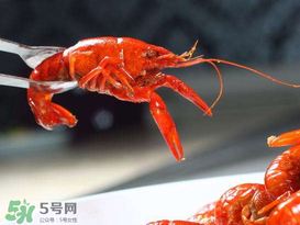 潛江小龍蝦有什么特色？潛江龍蝦節是每年什么時候？ 