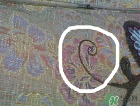 天堂太陽(yáng)傘真假 天堂太陽(yáng)傘真假鑒別