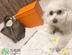 菜籃子包是什么牌子？菜籃子包是哪個(gè)品牌的？