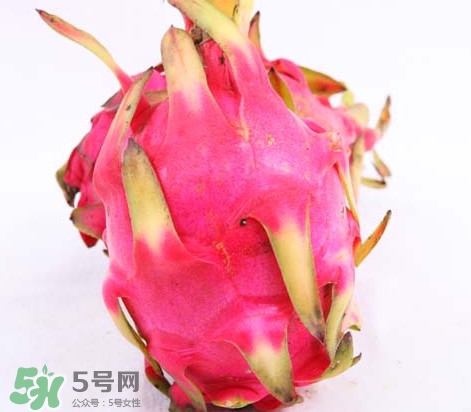 火龍果是酸性還是堿性？火龍果盆栽種植方法