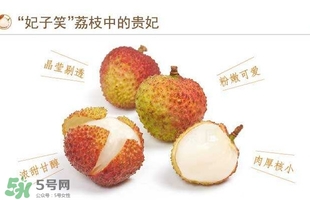 貴妃荔枝是哪里的？貴妃荔枝的產(chǎn)地是哪里