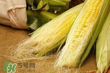玉米須水什么人不能喝？玉米須煮水小孩能喝嗎？