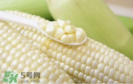 糯玉米是轉基因嗎？糯玉米是不是轉基因