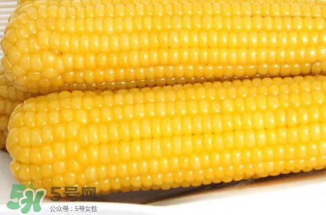 糯玉米是轉基因嗎？糯玉米是不是轉基因