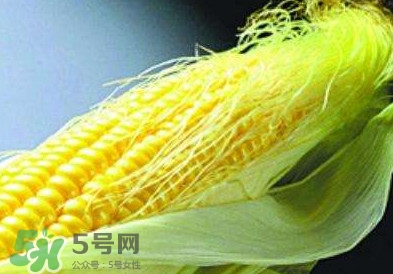 玉米須怎么吃降血糖？玉米須如何降血糖