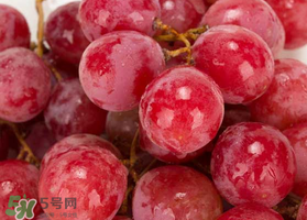 提子什么季節(jié)成熟？提子什么時候上市？