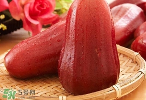 蓮霧什么季節吃最好？什么品種的蓮霧最好吃