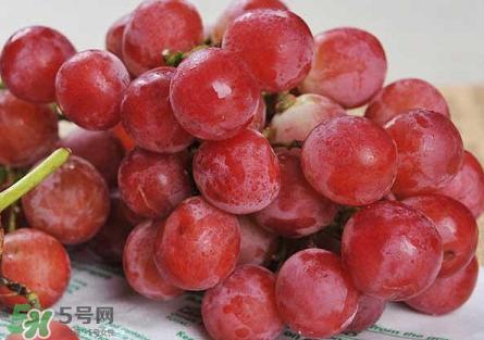 提子為什么會(huì)澀？提子澀怎么辦是沒(méi)熟嗎？