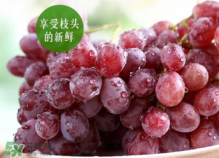 提子為什么會(huì)澀？提子澀怎么辦是沒(méi)熟嗎？