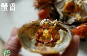 面包蟹是哪里產的？面包蟹哪里不能吃圖解