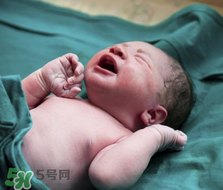 早產兒奶粉哪個牌子好？早產兒奶粉有哪些品牌？
