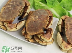 面包蟹為什么叫面包蟹？面包蟹為什么都是母蟹