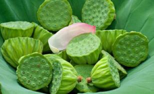 新鮮蓮子什么時(shí)候有？新鮮蓮子幾月有？