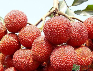 荔枝吃多了會胖嗎？吃荔枝會長胖嗎？