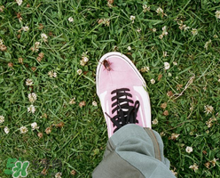stussy與vans2017春夏系列聯名鞋子什么時候發售？