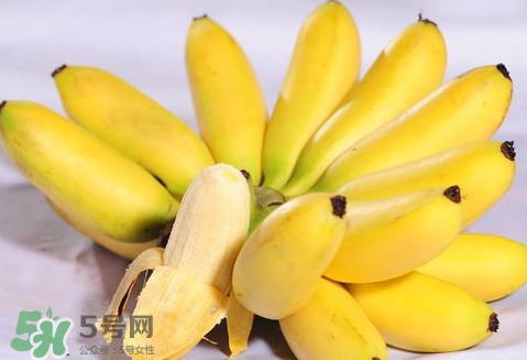 芭蕉是熱性還是涼性？芭蕉是熱性還是寒性？
