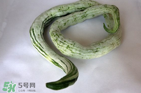 蛇瓜怎么挑選？蛇瓜的選購技巧