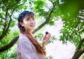 仙居楊梅在哪里？仙居楊梅哪里最好？
