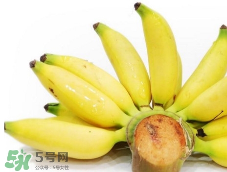 皇帝蕉是轉基因的嗎？皇帝蕉產地是哪里？