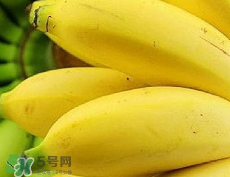 皇帝蕉是轉基因的嗎？皇帝蕉產地是哪里？