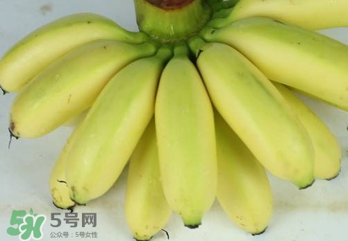 帝王蕉和皇帝蕉有區別嗎？帝王蕉和普通香蕉區別