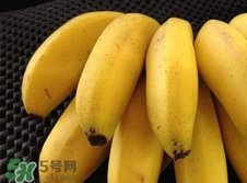 皇帝蕉是轉基因的嗎？皇帝蕉產地是哪里？