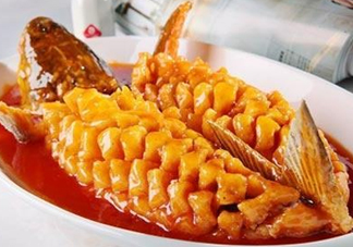 松鼠魚是哪里的菜？松鼠魚是什么菜系？