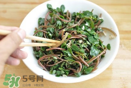 螞蚱菜怎么吃？螞蚱菜怎么做好吃