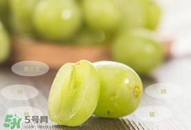青提怎么保存？青提可以放冰箱嗎？