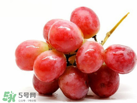 紅提可以放冰箱嗎？紅提放冷庫(kù)怎么保存？