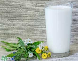脫脂奶粉哪個(gè)牌子好？脫脂奶粉什么品牌的好？