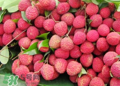 增城荔枝節(jié)是什么時(shí)候？2017年增城荔枝節(jié)時(shí)間