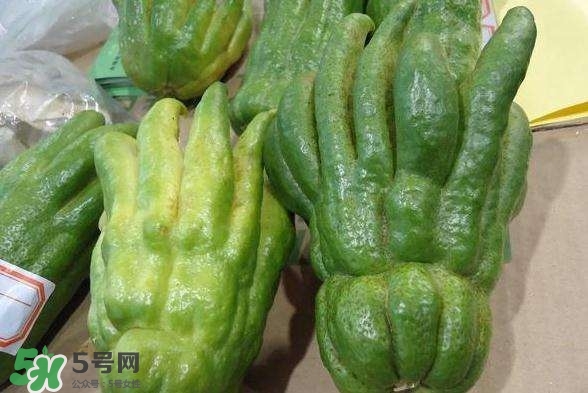 佛手與佛手瓜有什么區別？佛手與佛手鉗有什么區別