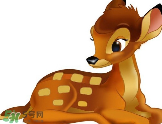 斑比跪是什么意思？斑比跪是什么坐勢