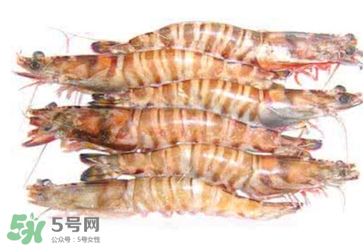 九節蝦是海蝦嗎？九節蝦是海蝦還是河蝦