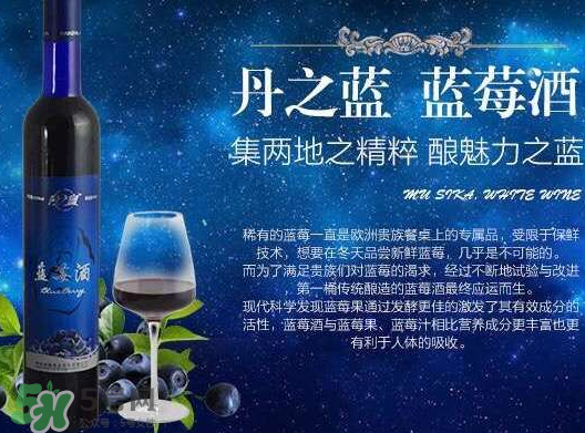 藍(lán)莓酒多少錢一瓶？藍(lán)莓王酒多少錢一瓶？