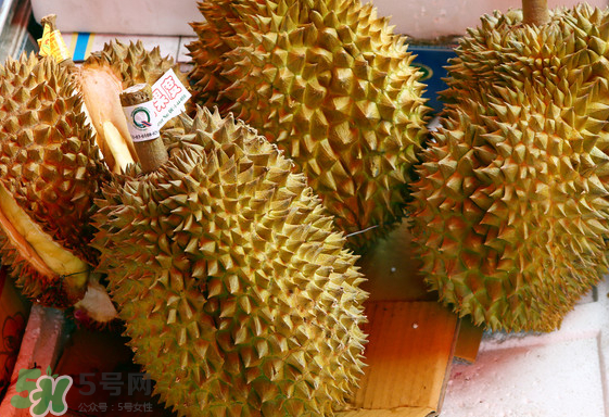 托曼尼榴蓮怎么才是熟？托曼尼榴蓮怎么看生熟？