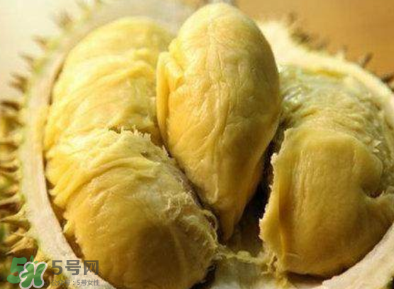 托曼尼榴蓮多少錢？托曼尼榴蓮是哪里的？